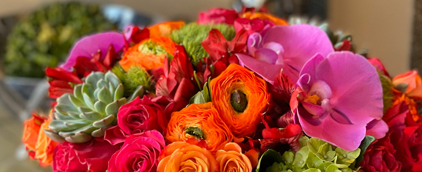 banner-mothers-day-collection
