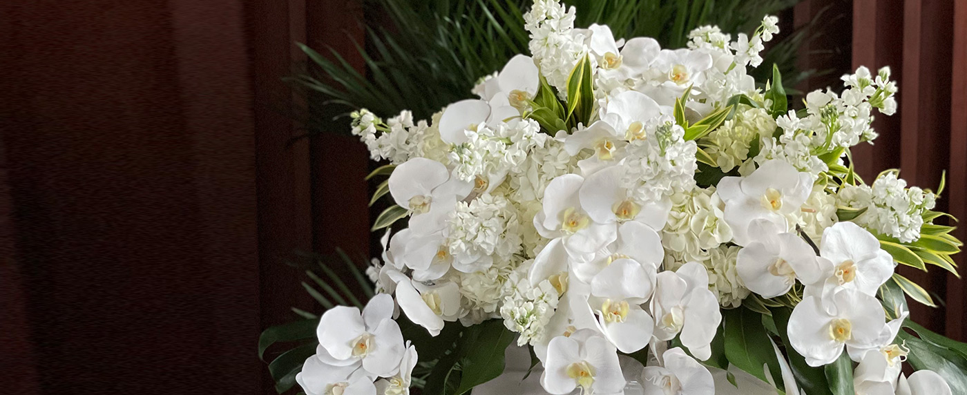 banner-sympathy-collection