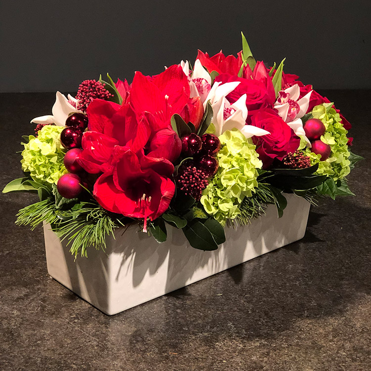 Christmas Beauty