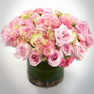 Bed of Roses