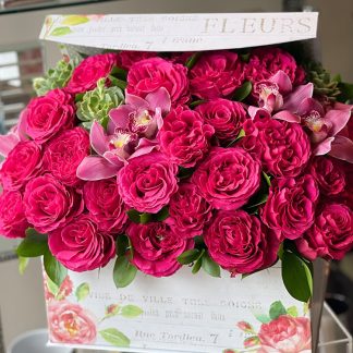 Box of Love