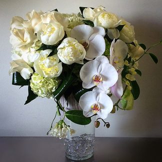 Orchid Elegance