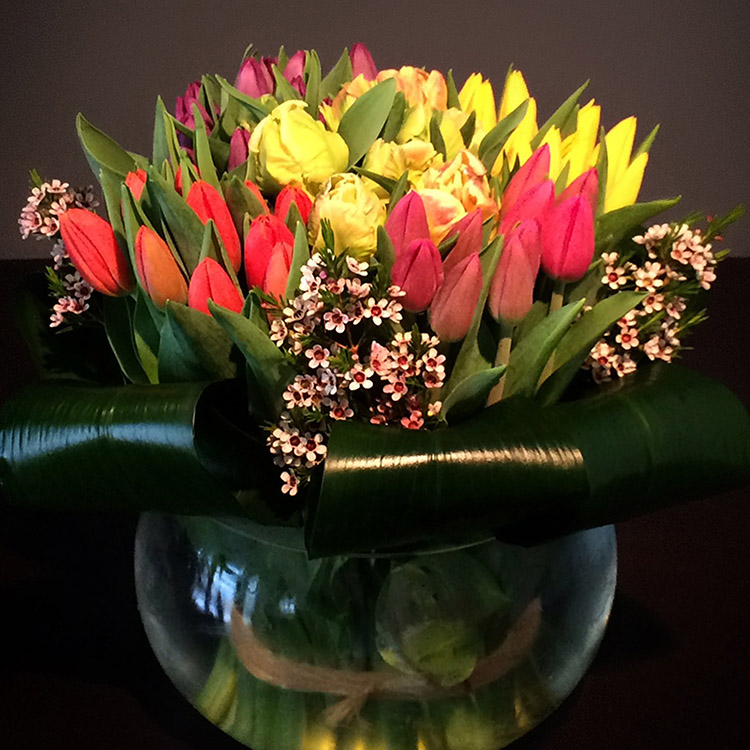 Spring Beauty