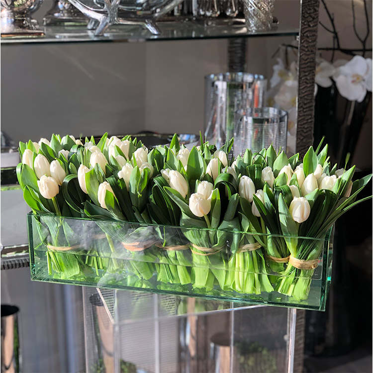 Tulips for All