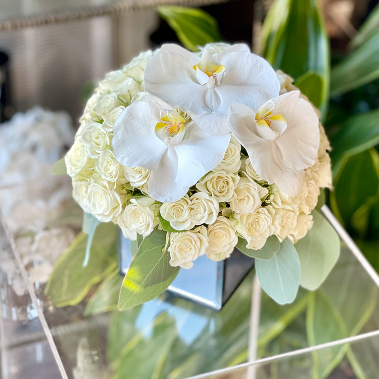 Heavenly Roses