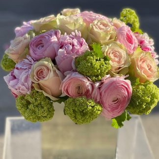 Radiant Blooms