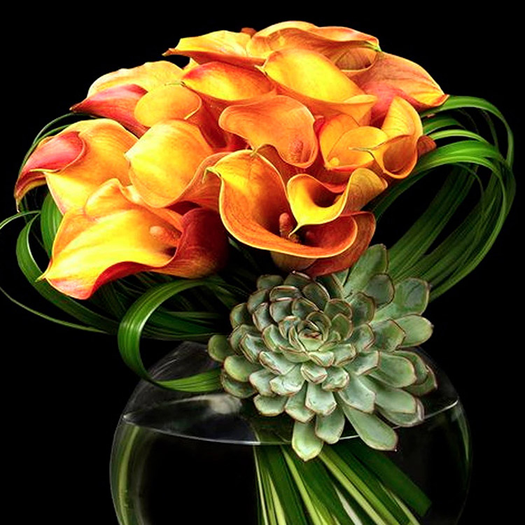 Succulent Design
