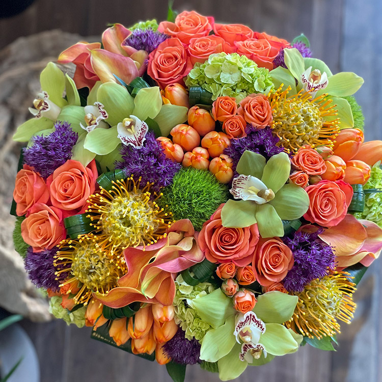 Vibrant Blessings